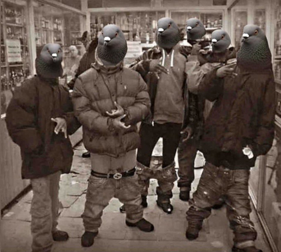 flock_business.png